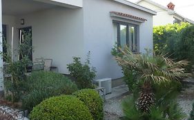 Apartment Branimir